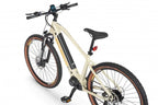 Ecobike SX 300 Sandstorm