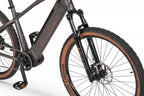 Rower elektryczny Ecobike SX 300 Copper Black