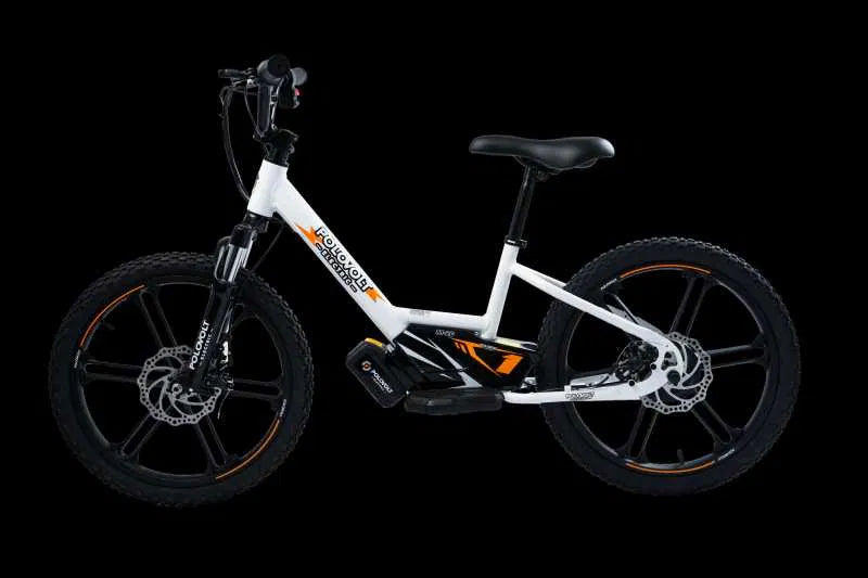 Polovolt M-20 - Idealny Elektryczny Motorower Dla Twojego Dziecka!