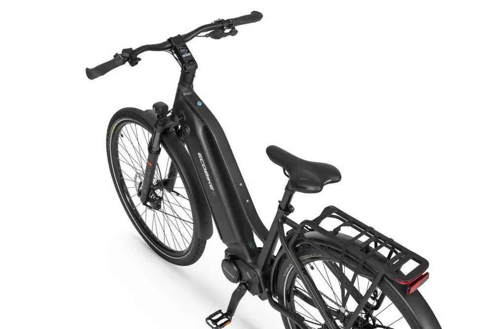 Ecobike LX 500