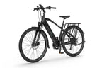 Ecobike X-Cross
