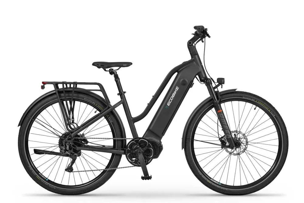 Ecobike X500