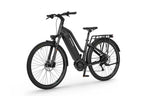 Ecobike X500