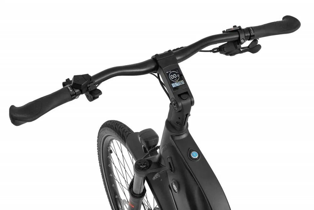 Ecobike X500