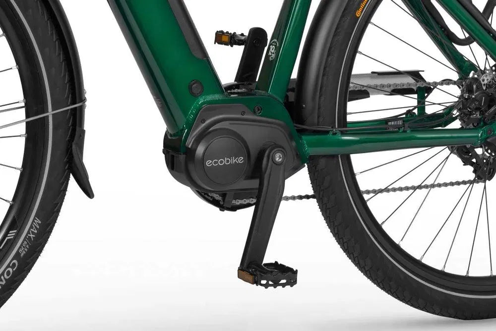 Rower elektryczny Ecobike MX 300 Green