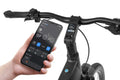 Ecobike LX 500