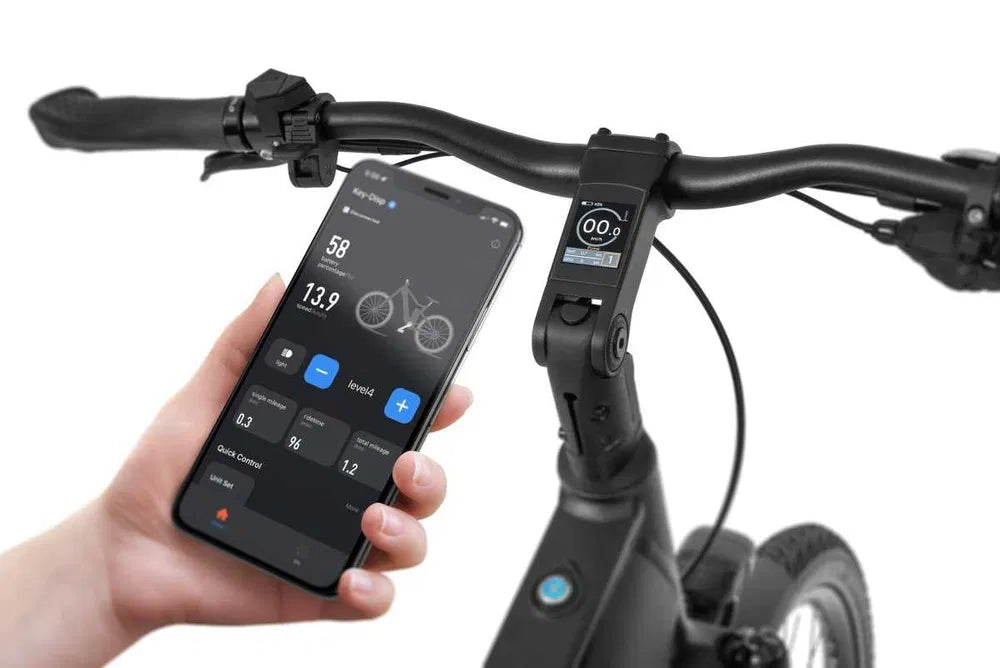 Ecobike LX 500