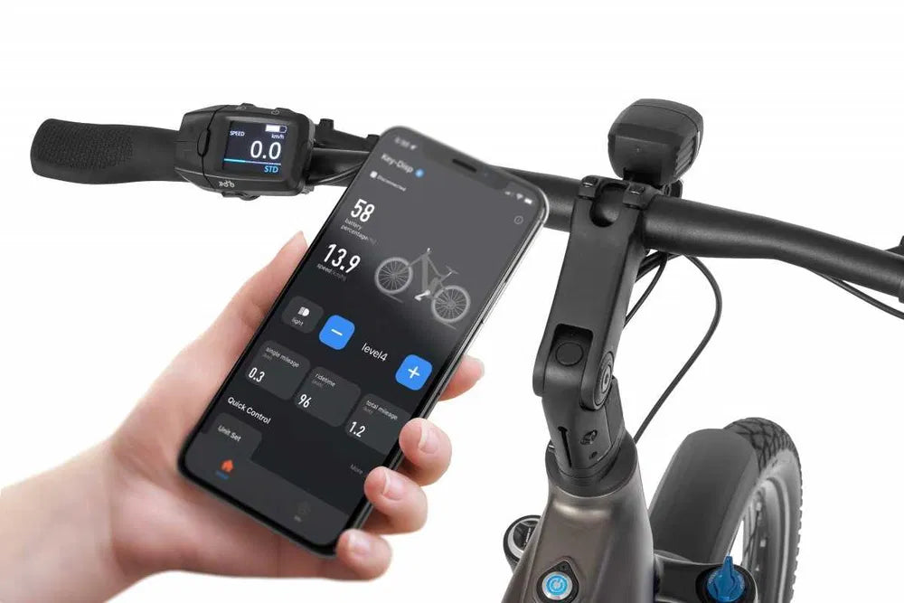 Rower elektryczny Ecobike Dare
