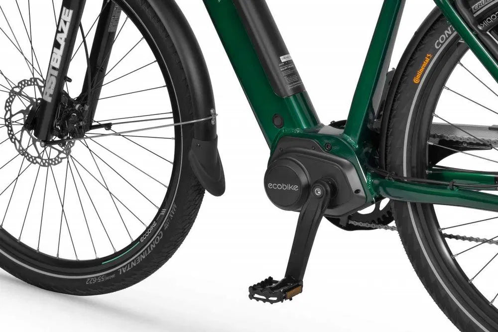 Rower elektryczny Ecobike MX 300 Green