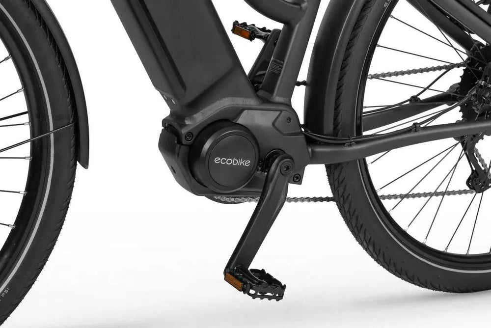 Ecobike LX 500