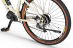 Ecobike SX 300 Sandstorm