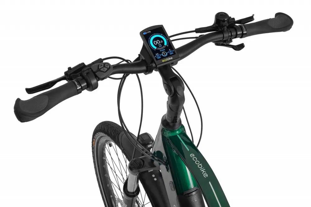 Rower elektryczny Ecobike MX 300 Green